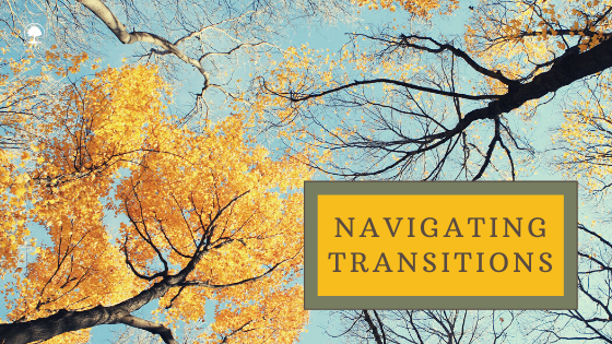 navigating transitions