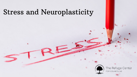 stress and neuroplasticity