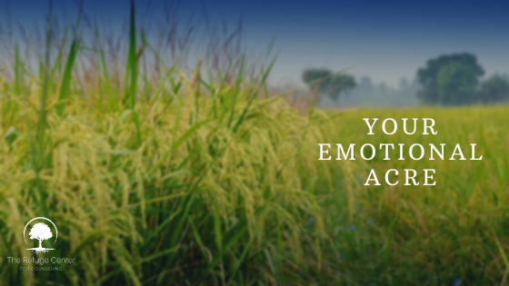 your emotional acre
