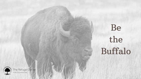 Be the buffalo